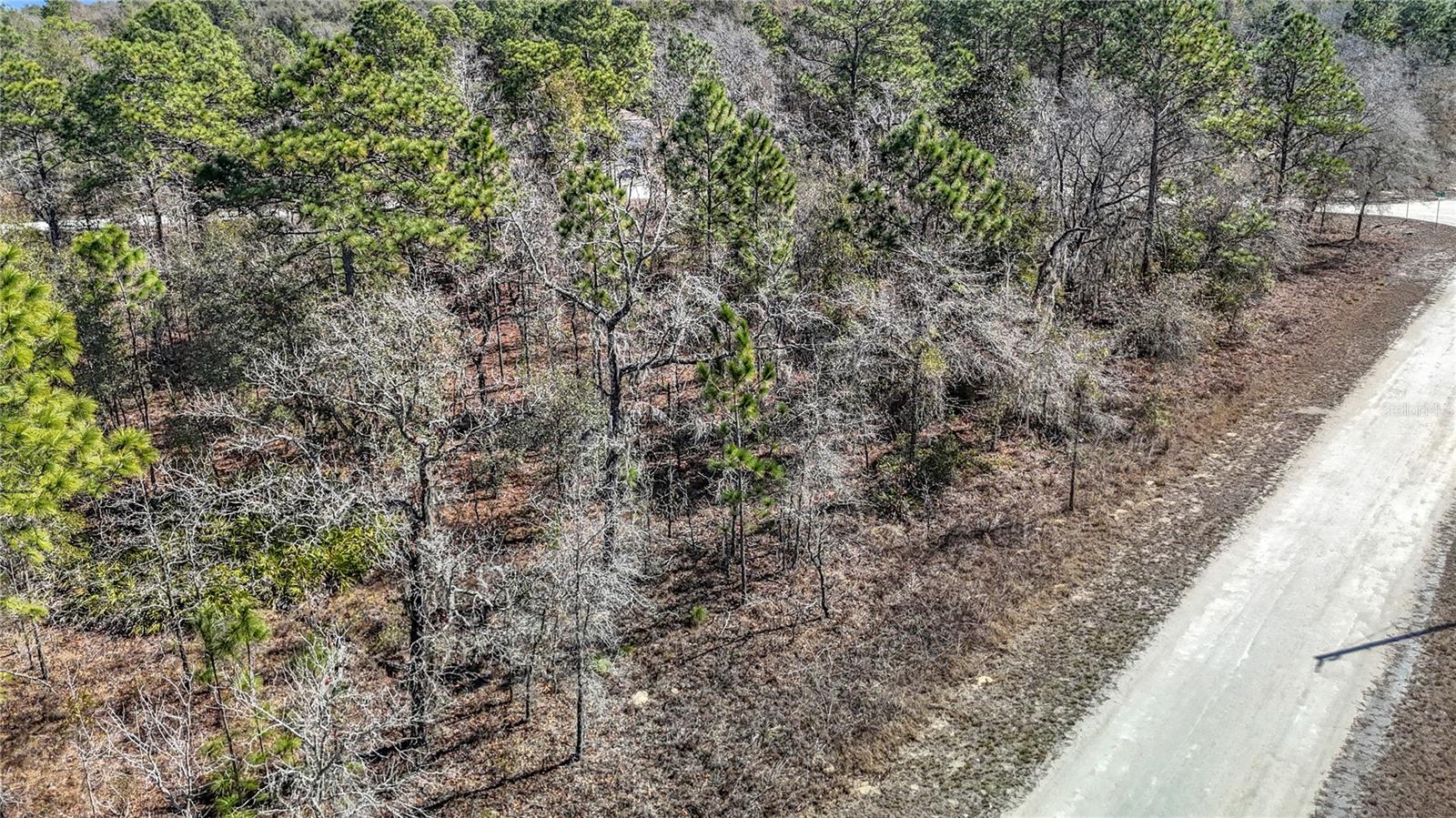 16070 Sheldrake Loop, FL