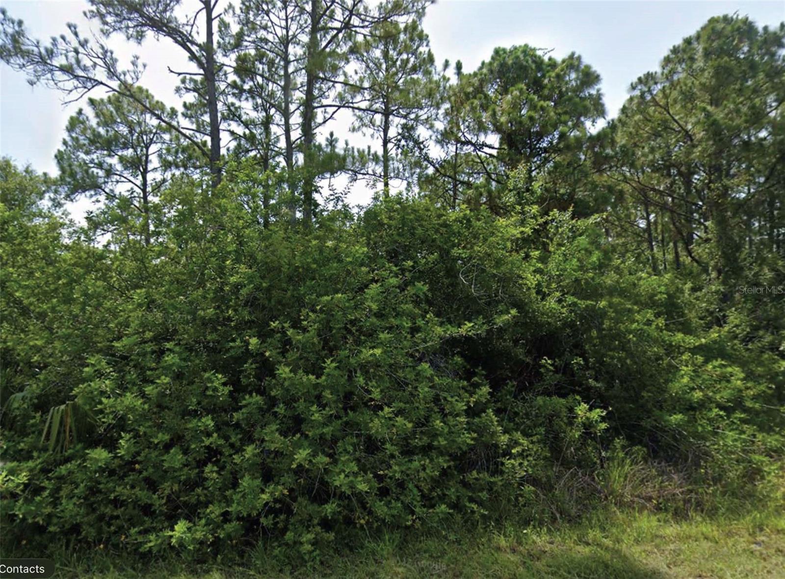 Flambeau Ave, FL