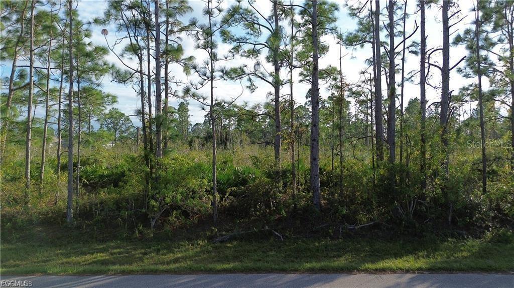 12157 Terkelsen Avenue, FL