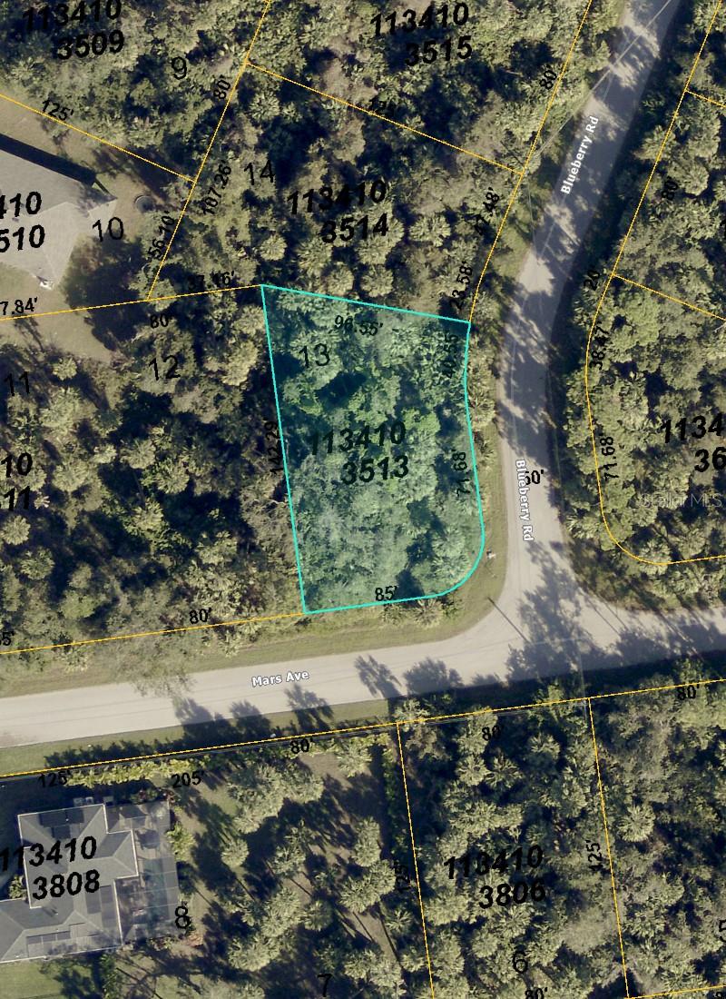 Blueberry Rd, FL