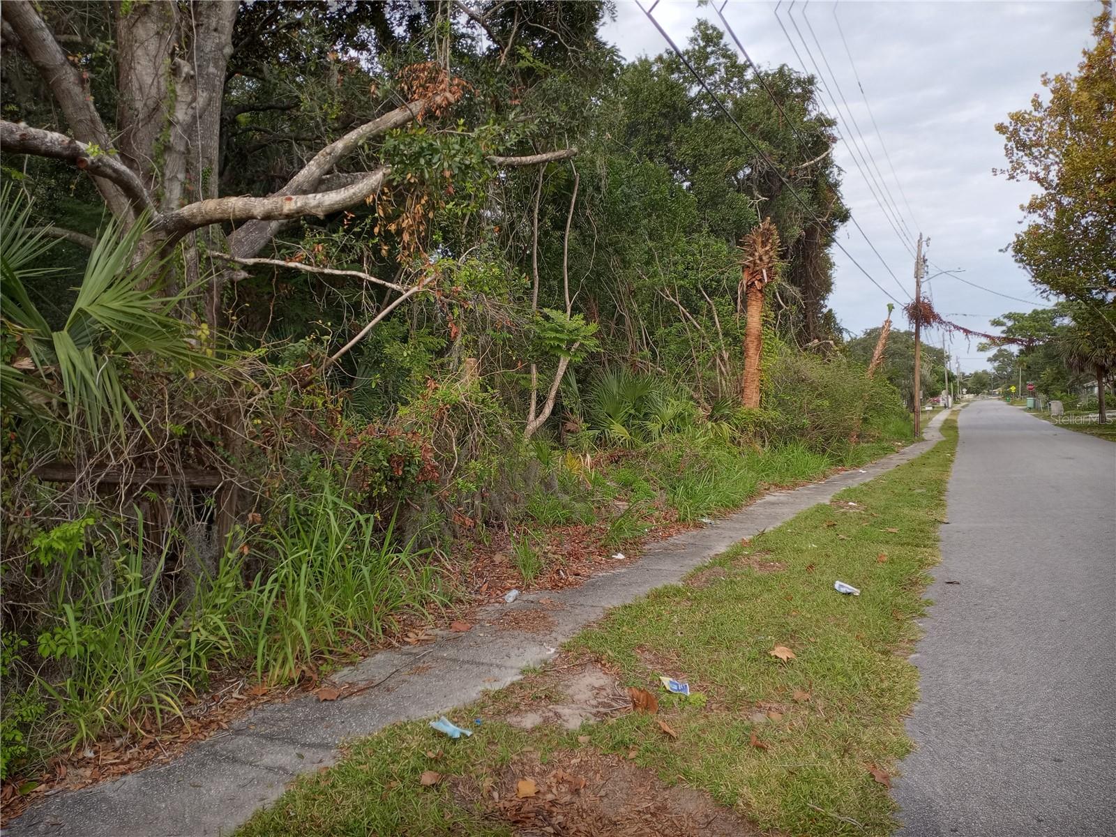 Carver St, FL