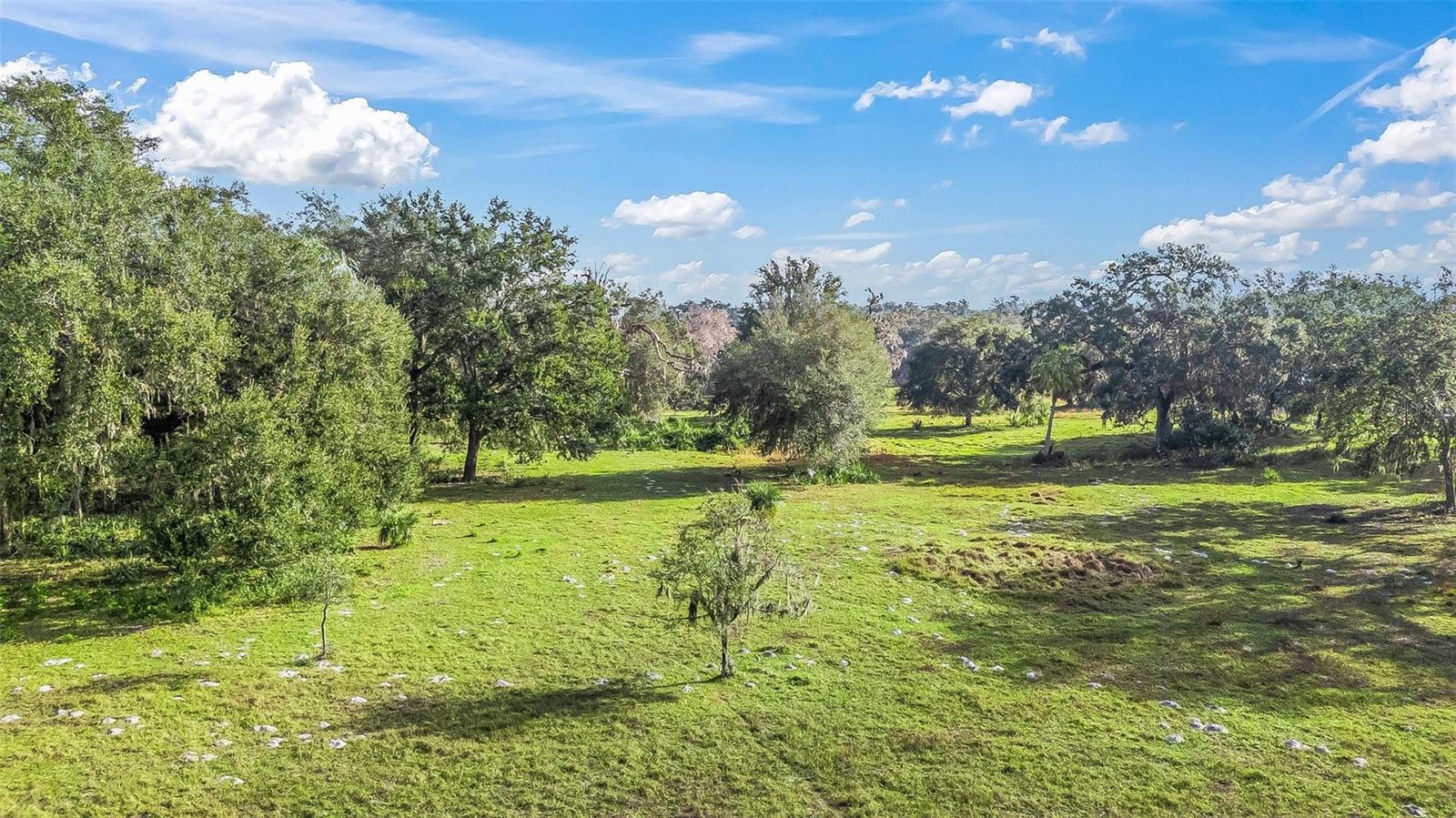 Tract 1 - Cr 221, FL