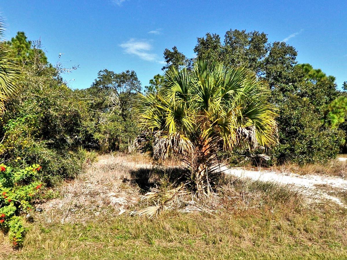 Greentree Ave, FL