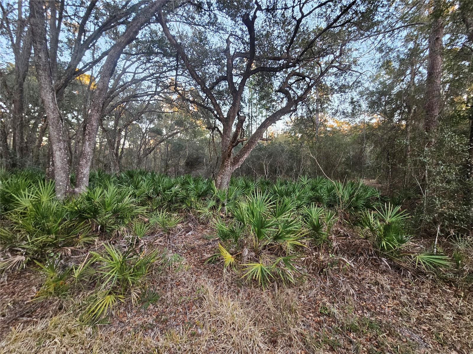 Rosehill Drive, FL