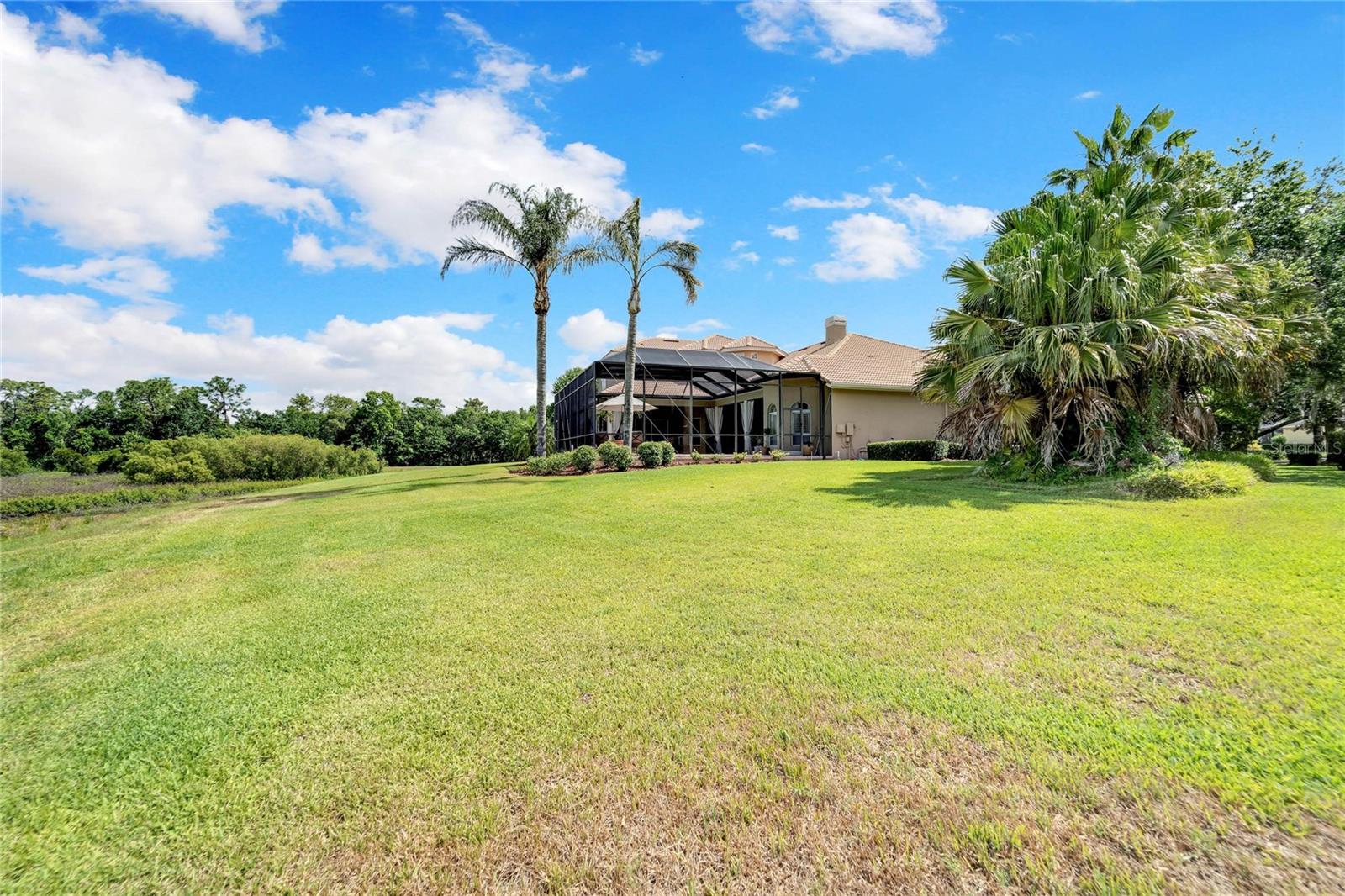 15101 Kestrelglen Way, FL