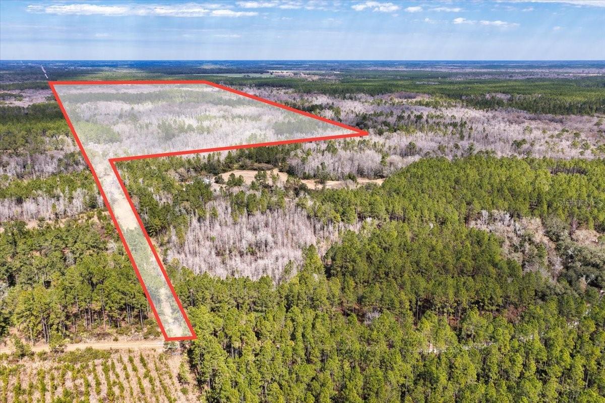 60 Acres Clyatt Road, FL