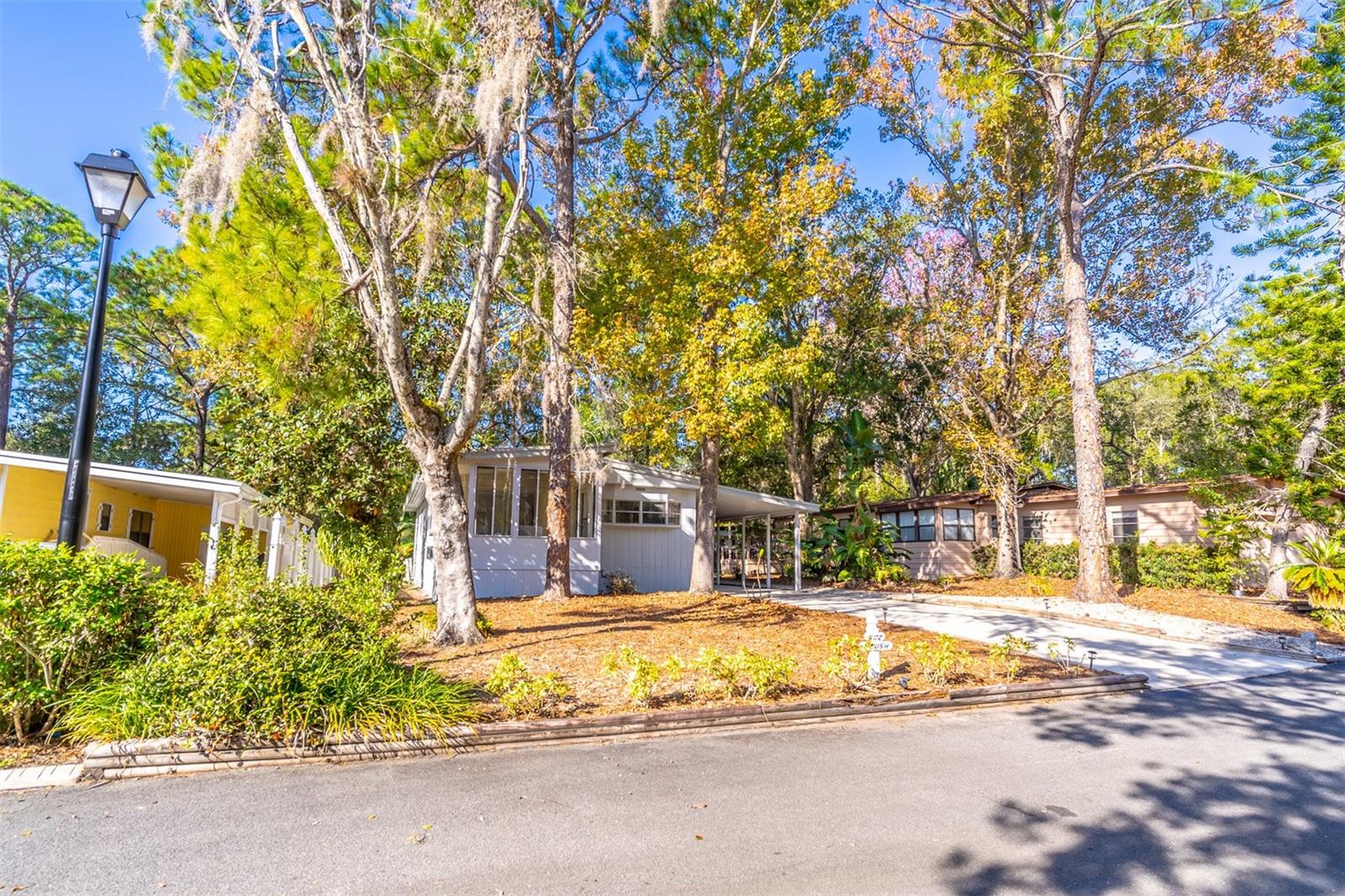502 Timberlane Court, FL