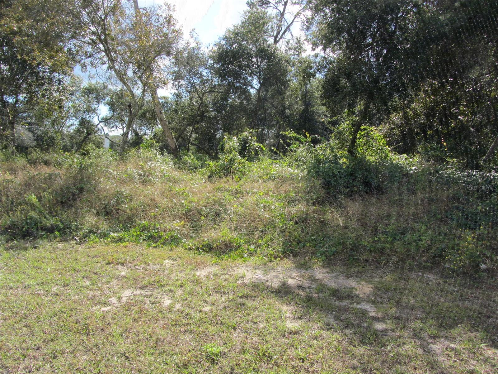 1680 Catalina Blvd, FL