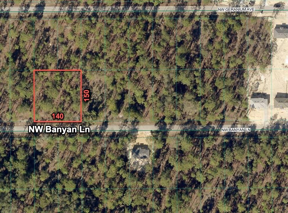 24309 Banyan Lane, FL