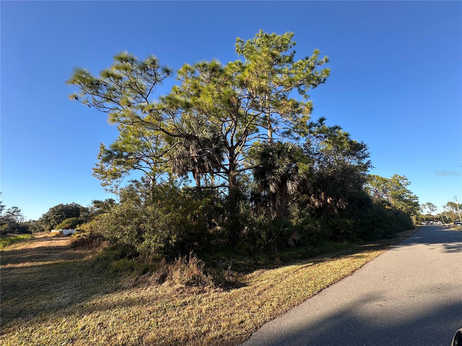 Clarke St, FL