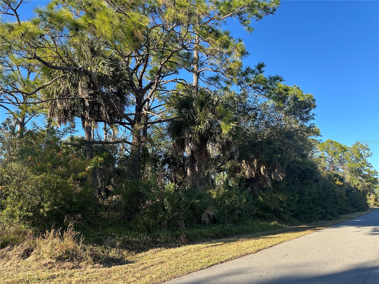 Clarke St, FL