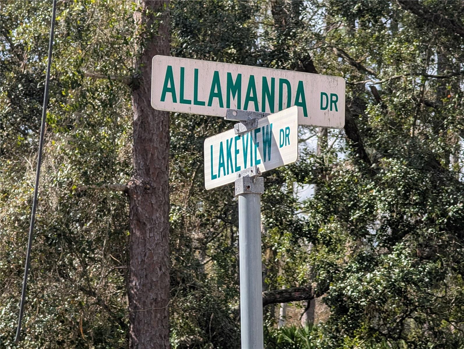 Allamanda Dr, FL