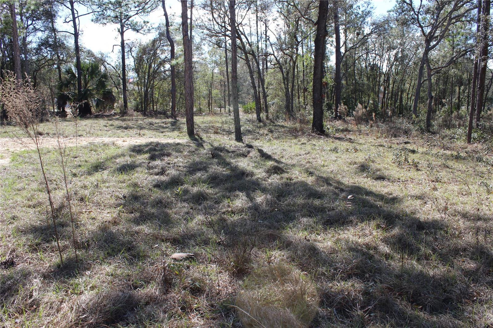 0 Quigley Avenue, FL