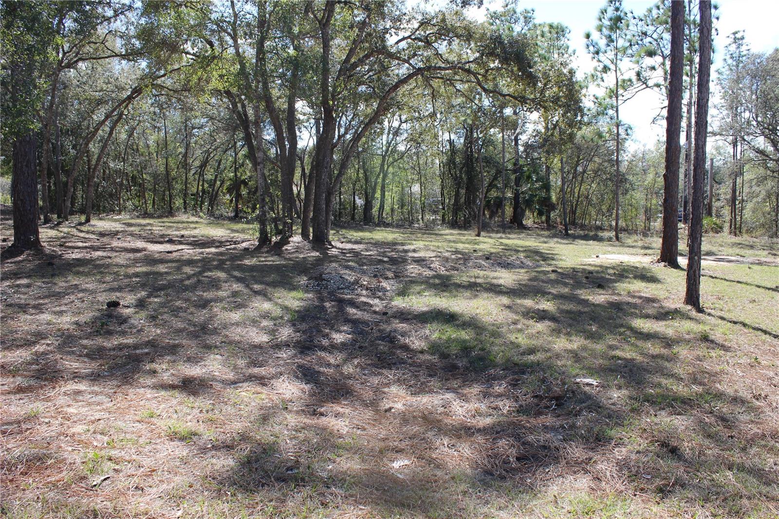 0 Quigley Avenue, FL