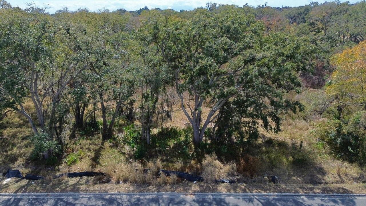 0 Diana Street, FL