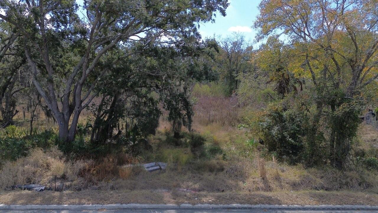 Diana Street, FL