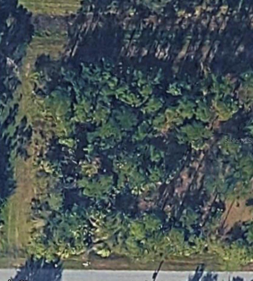Garlenda Avenue, FL