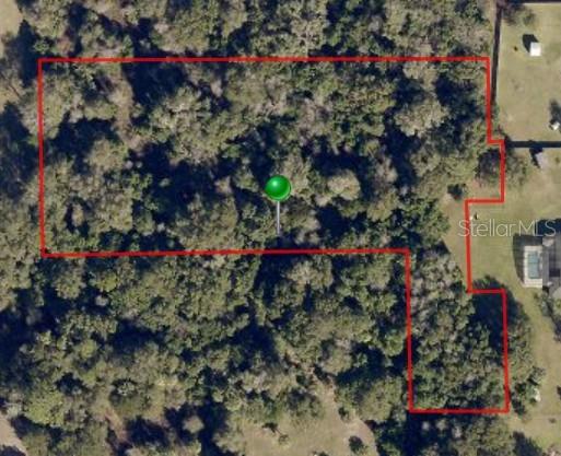 S Adelle Avenue, FL