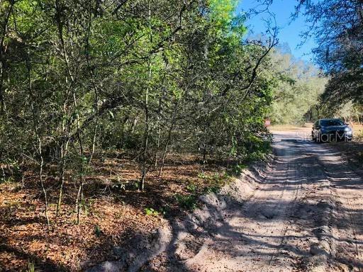 Oakridge Drive, FL