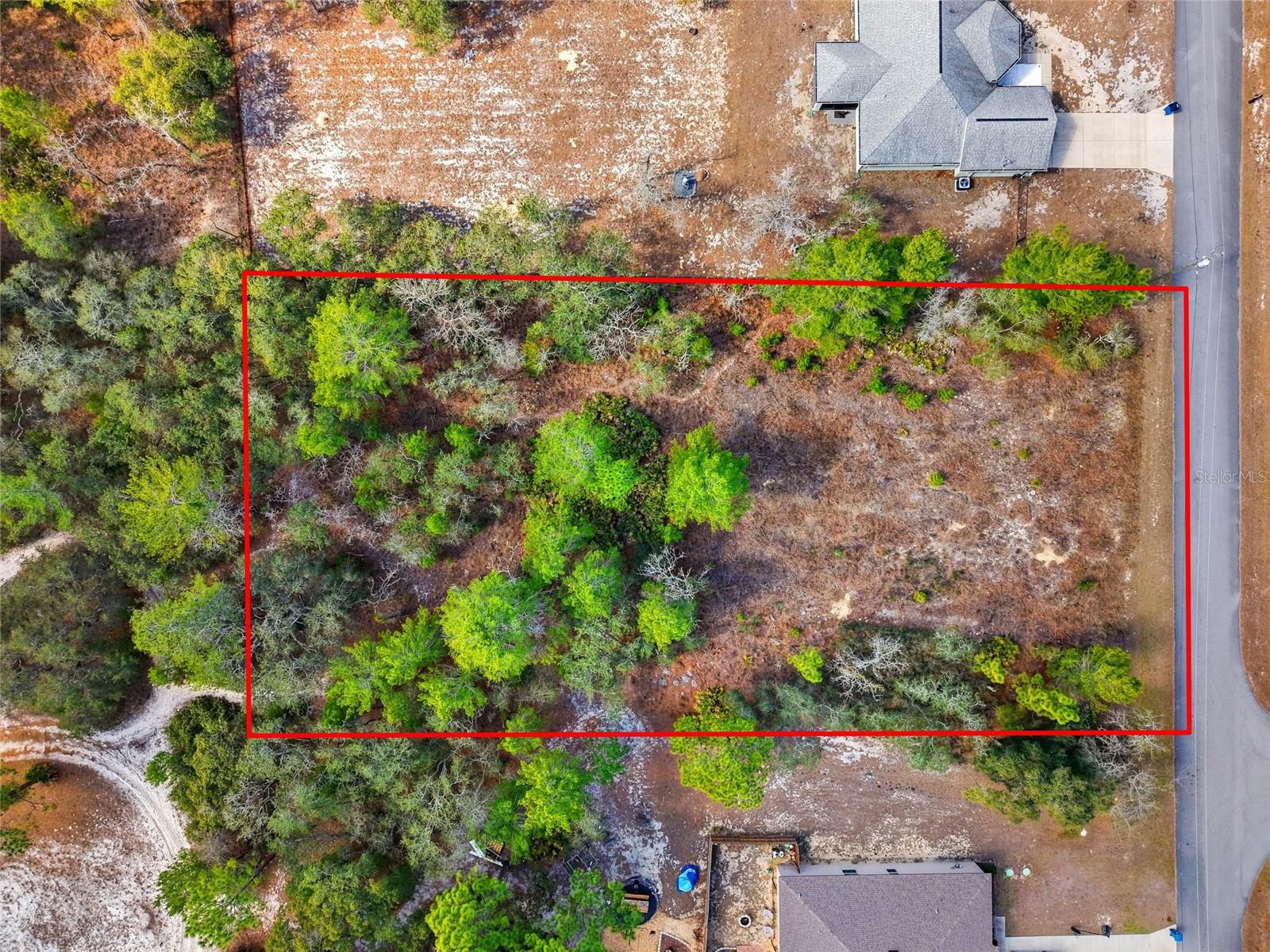 11263 Mexican Canary Avenue, FL