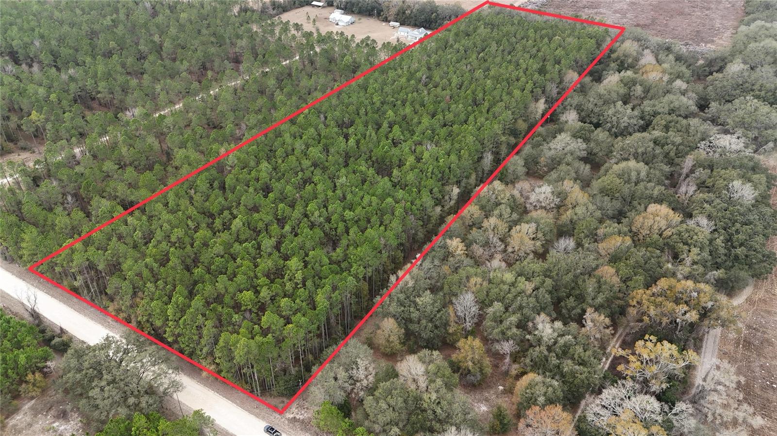 Tbd 10th Avenue, FL