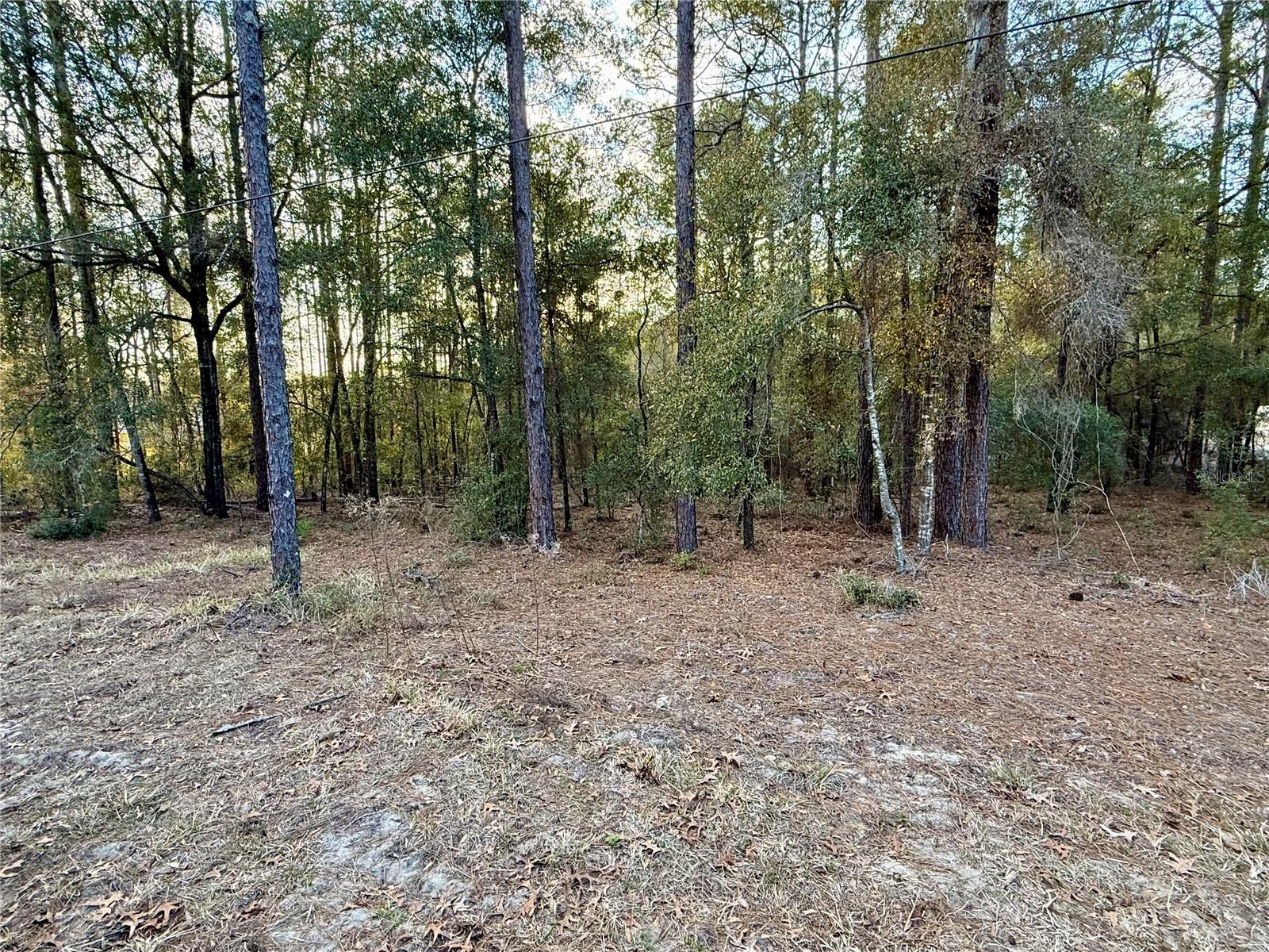 Sw 205th Circle, FL