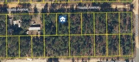 111 Yeatts Ave, FL