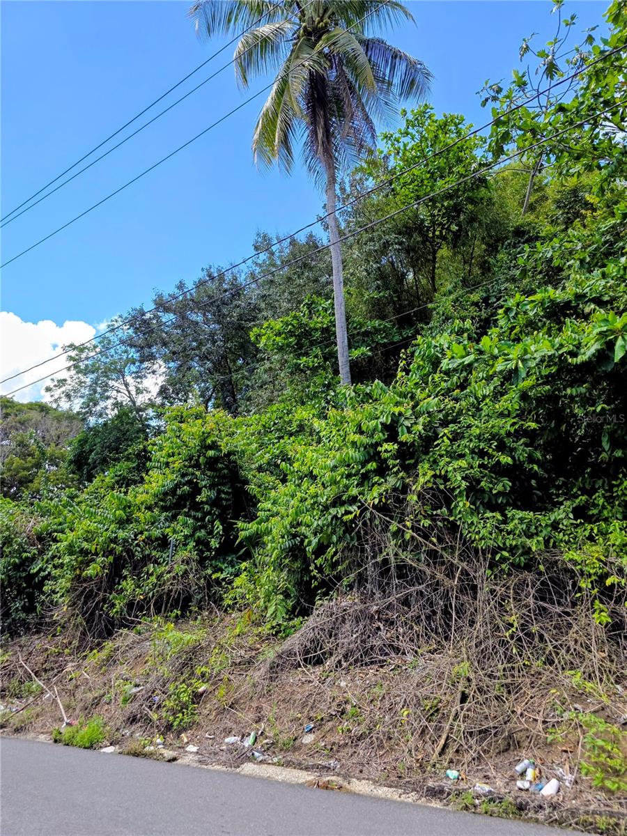Bo Quebrada Cruz, PR