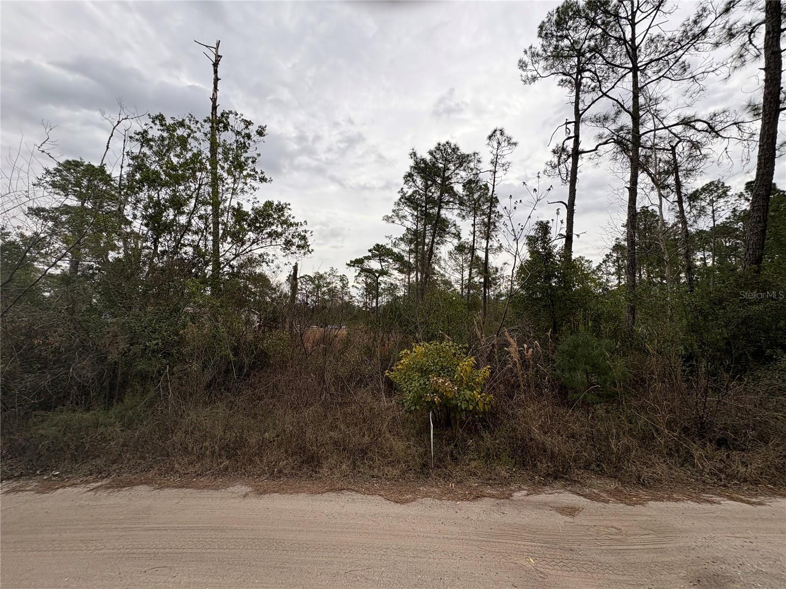 Georgia St, FL