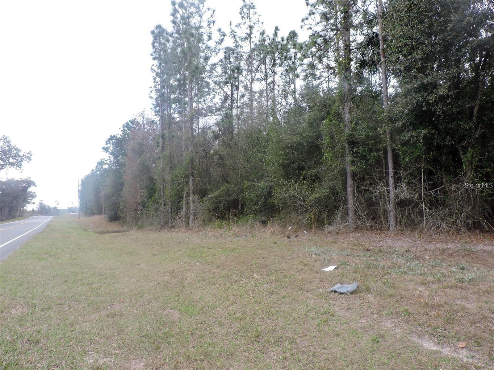 Tbd State Road 21, FL