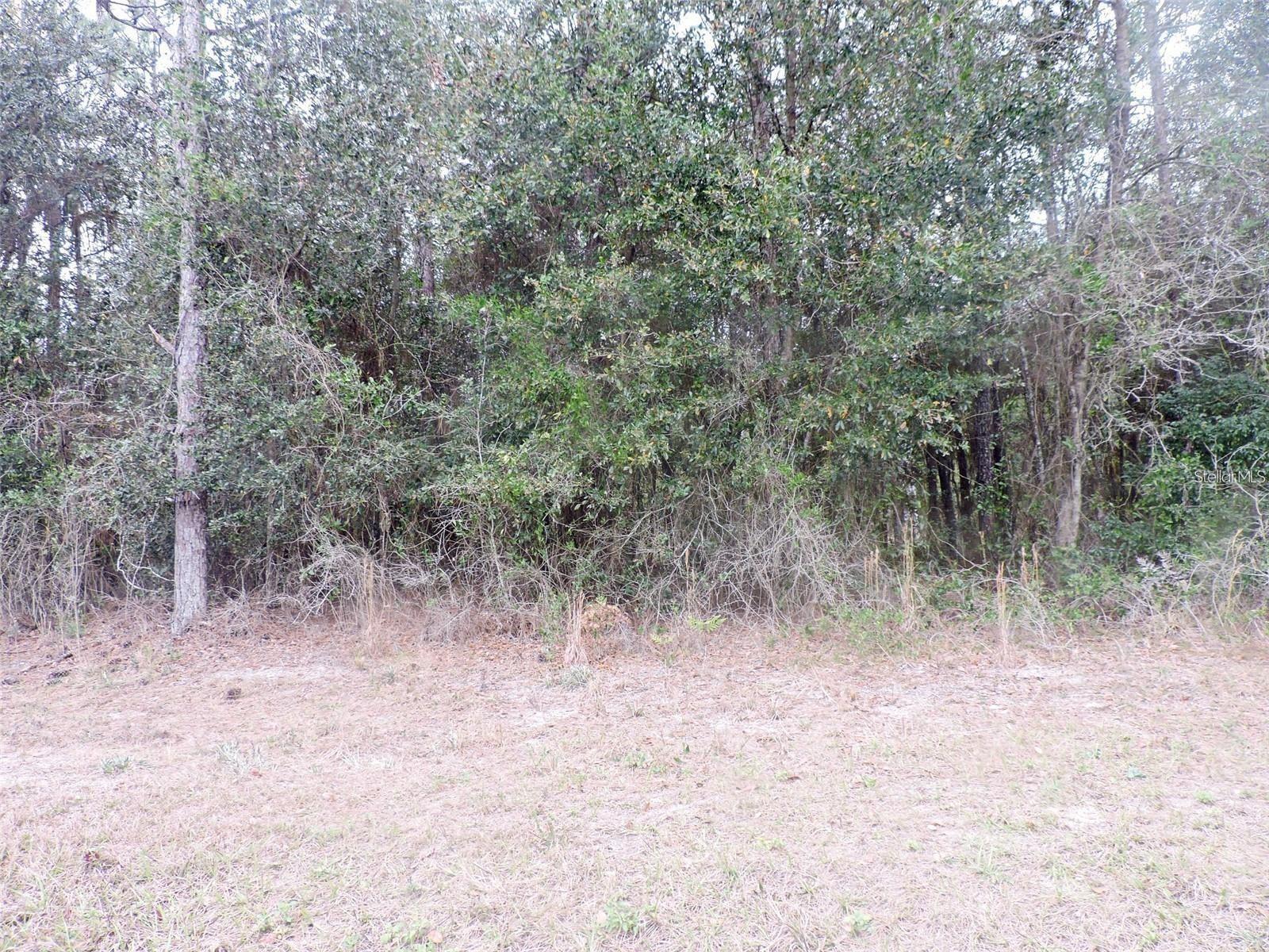 Tbd State Road 21, FL