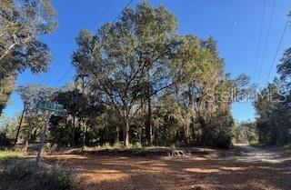 Tbd 135 Avenue, FL