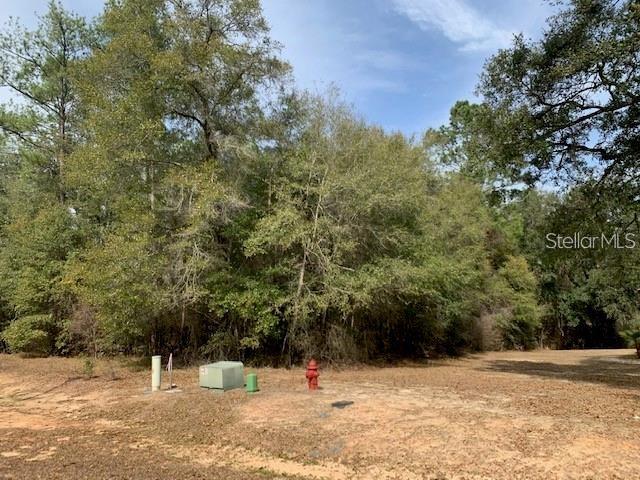 167 Sparkleberry Blvd, FL