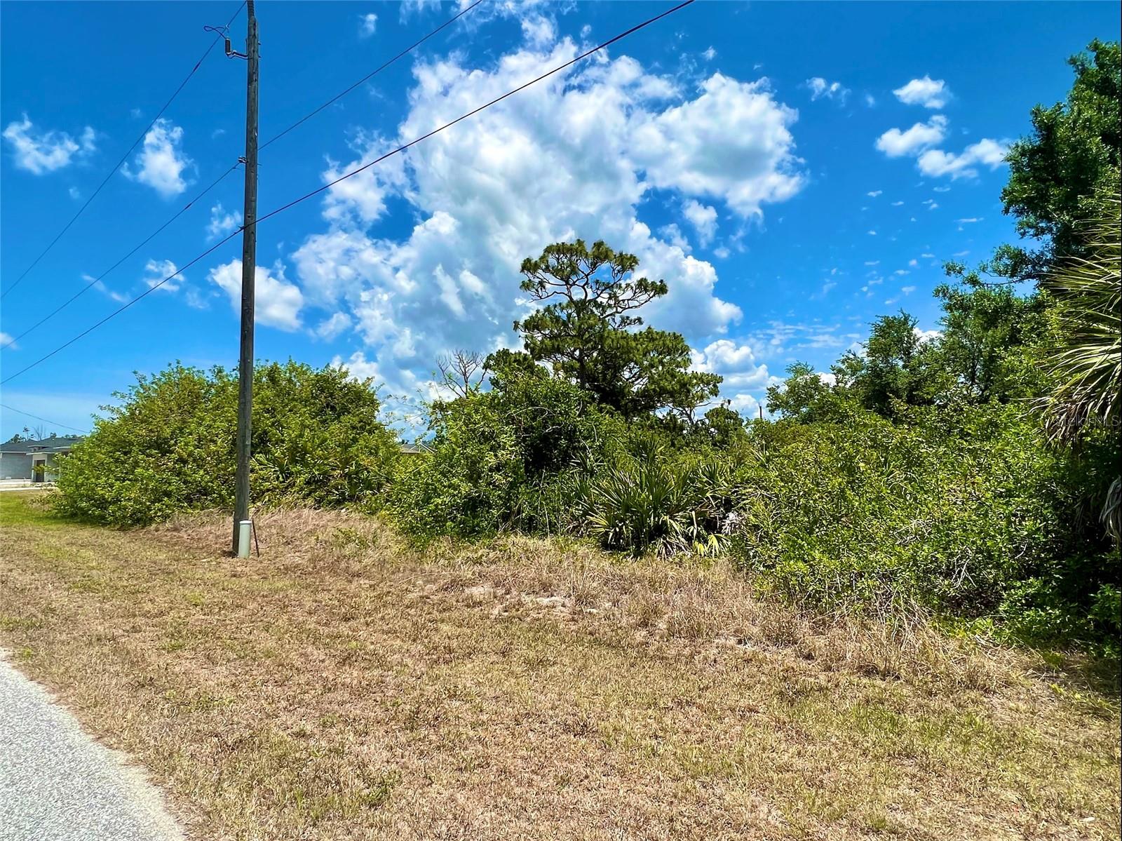 13396 Rayburn Lane, FL