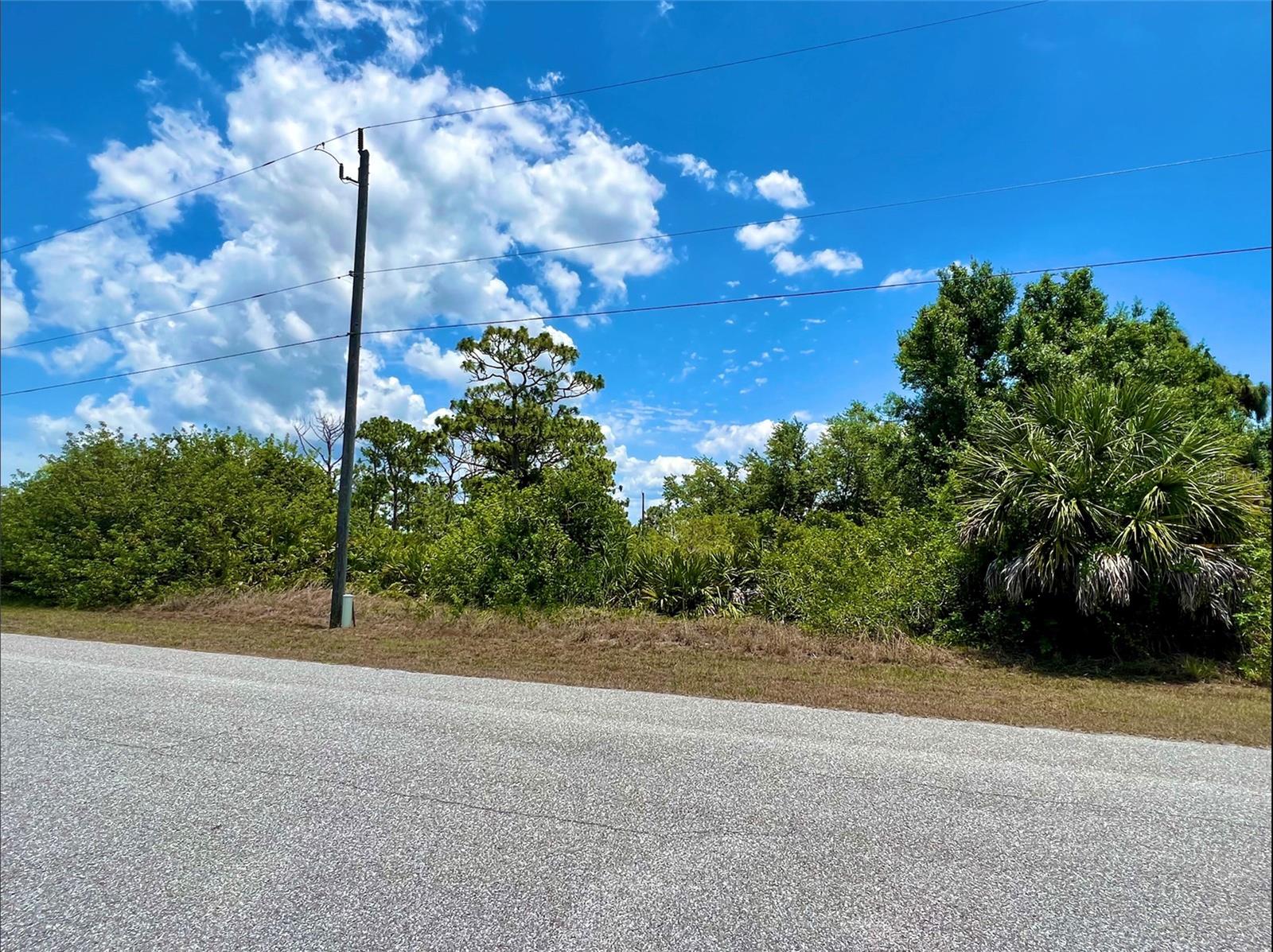 13396 Rayburn Lane, FL