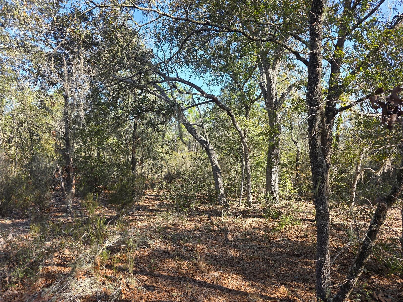Tbd 87th Place, FL