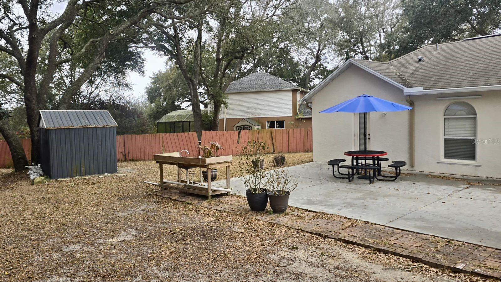 204 Lace Bark Court, FL