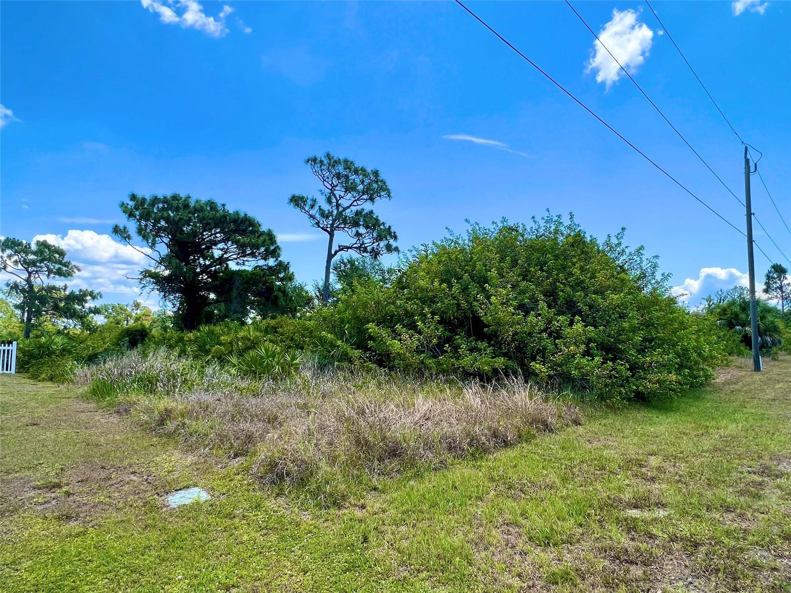 13388 Rayburn Lane, FL