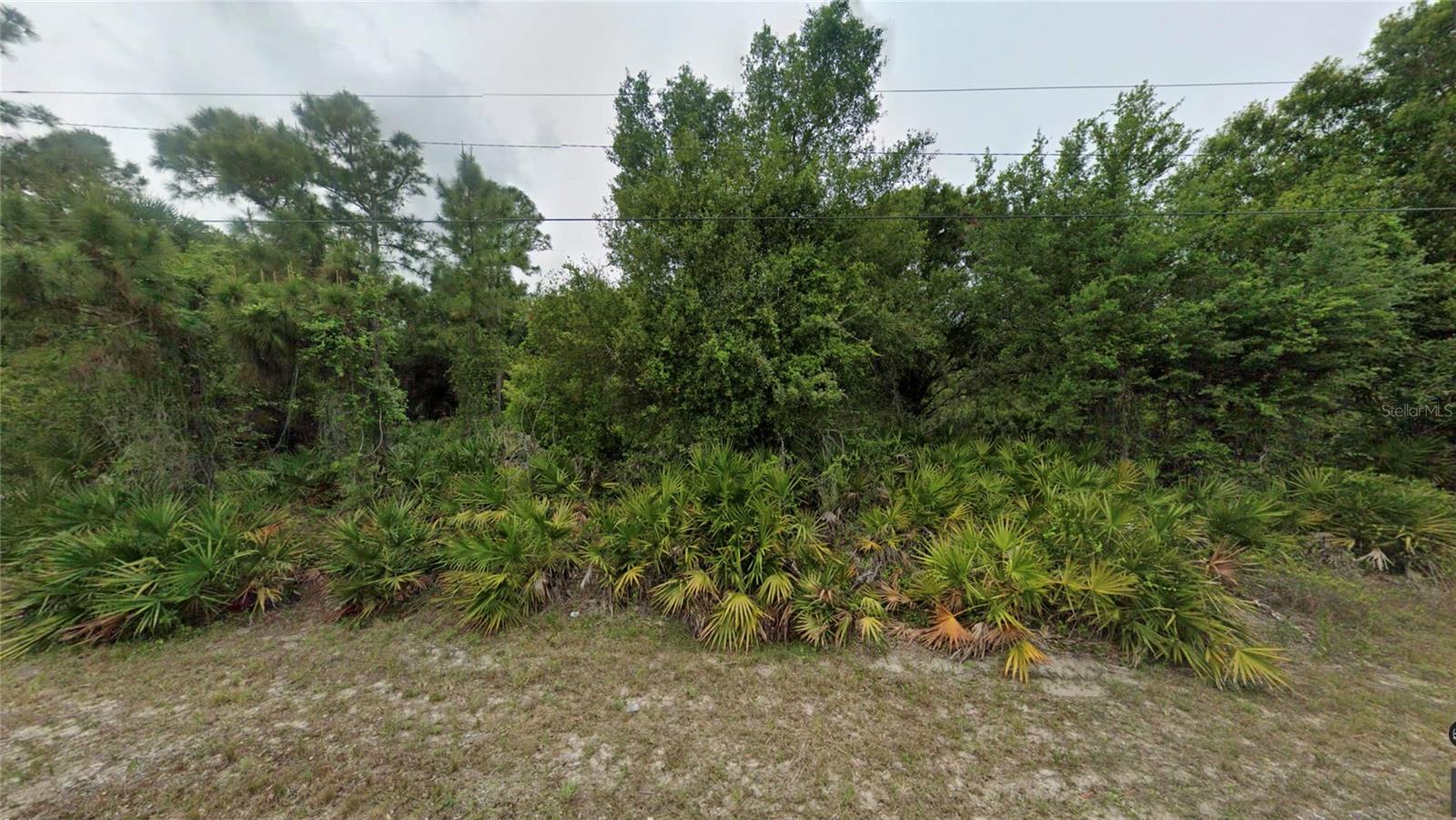 519 Broadway Ave, FL