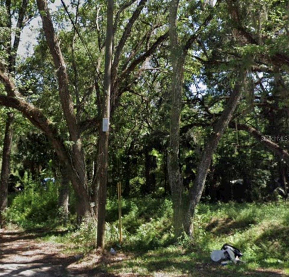 Tbd Twigg Street, FL
