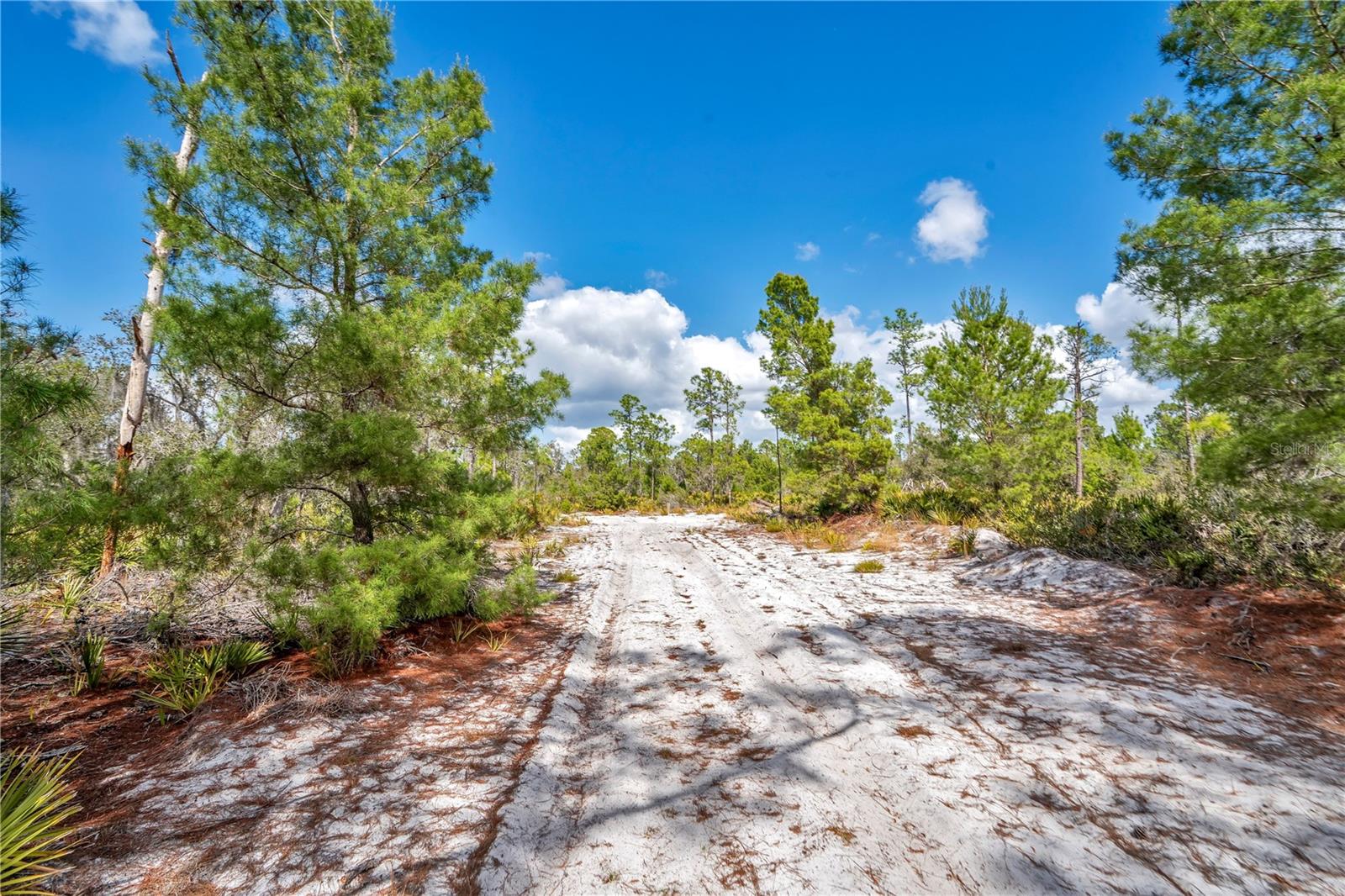 4000 Lomonico Road, FL