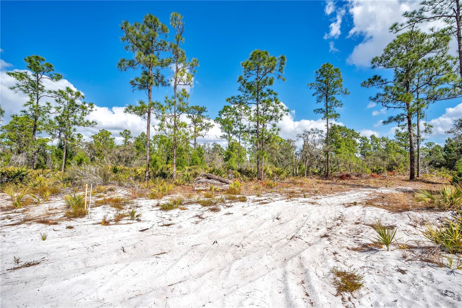 4000 Lomonico Road, FL