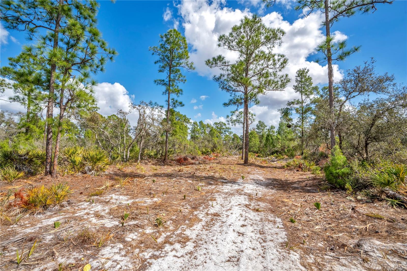 4000 Lomonico Road, FL