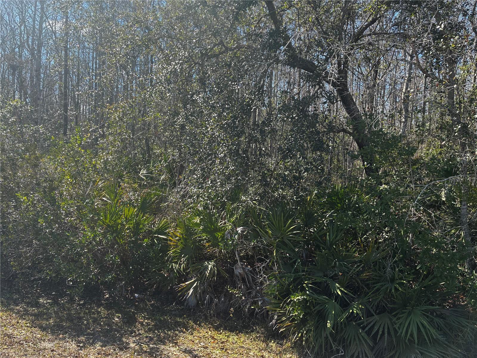 1228 Murdock Boulevard, FL