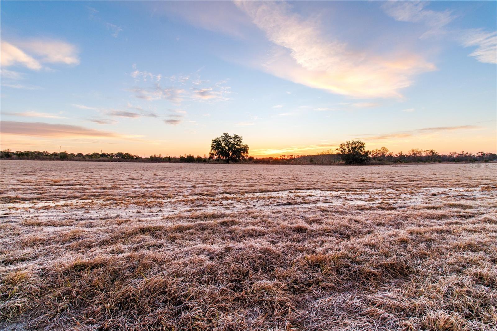 4240 Royal Sky (Lot 6) Court, FL