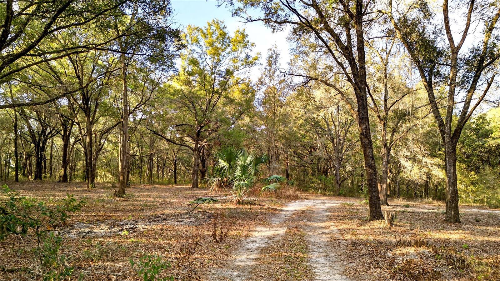 Se 180th Street, FL