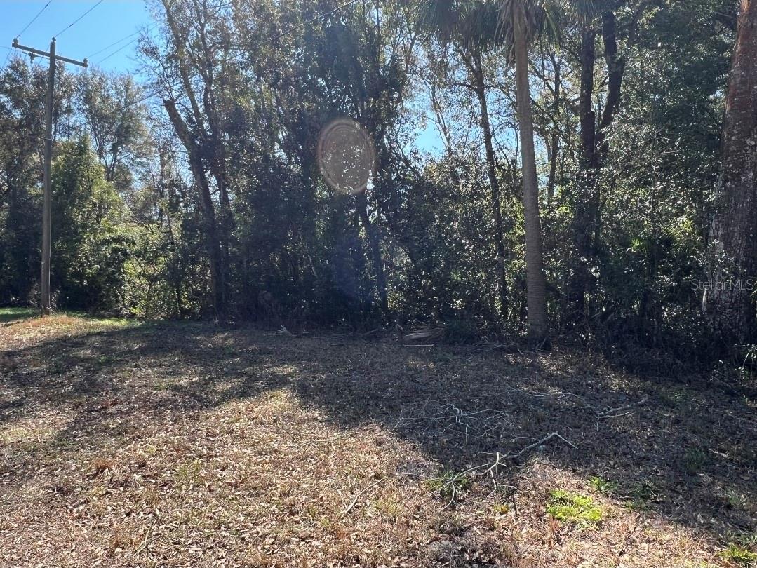 Palacky Street, FL