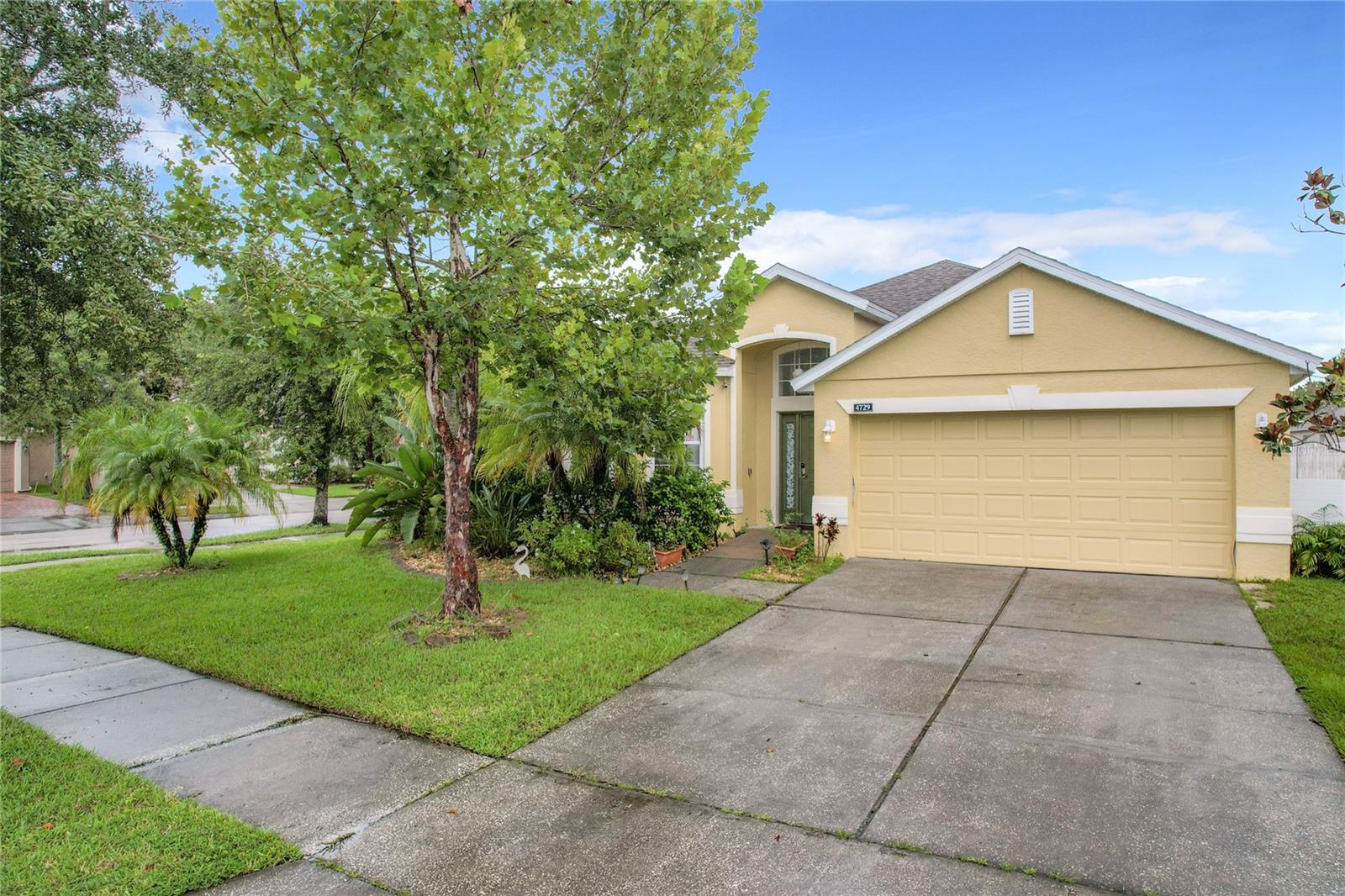 4729 Spindletree Lane, FL