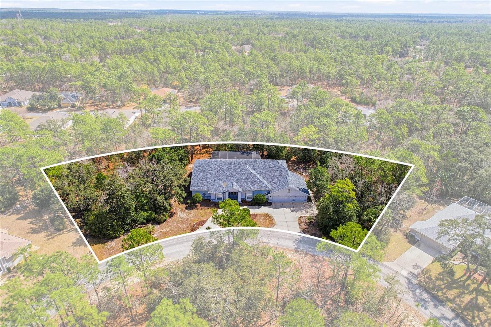 16 Drypetes Court, FL