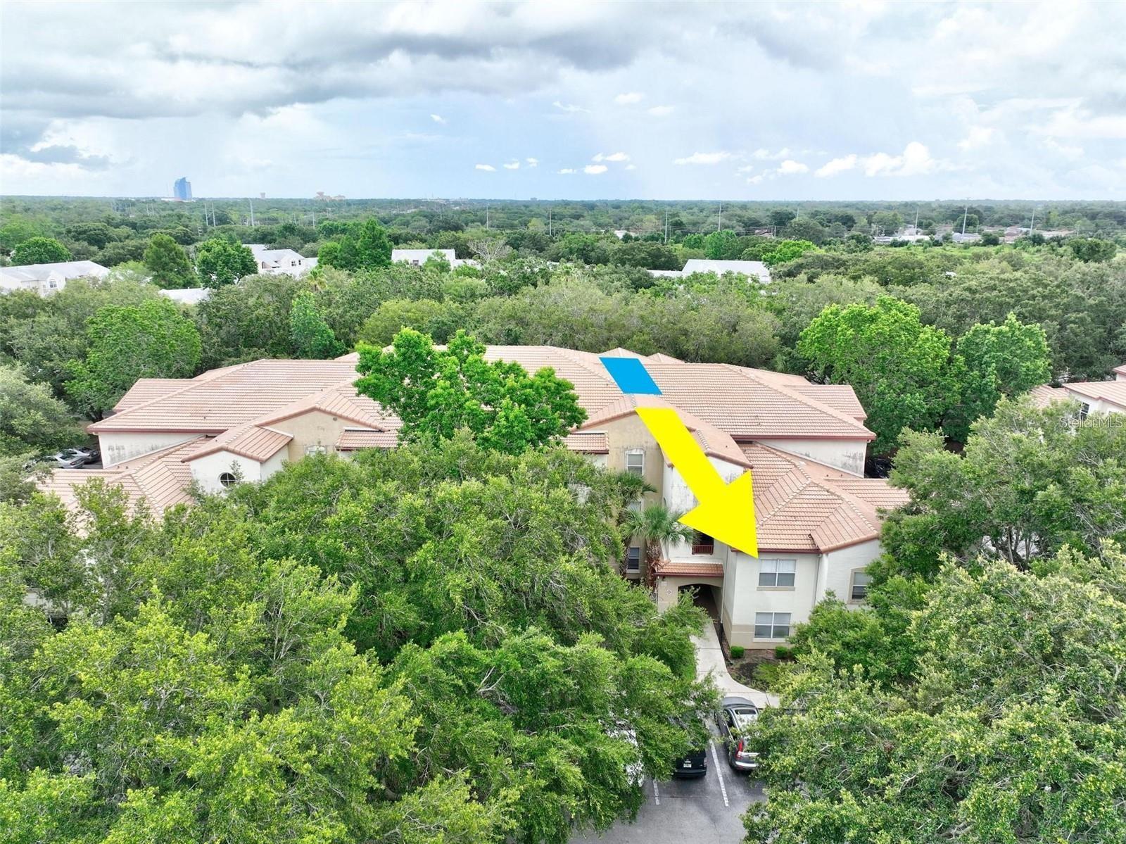 829 Camargo Way #209, FL